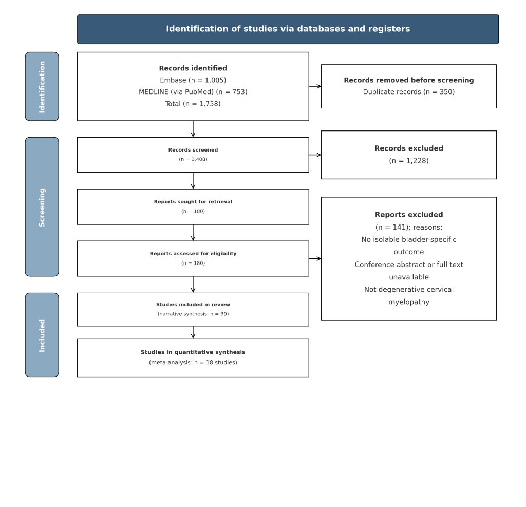 Figure 1 for Bladder Dysfunction in Degenerative Cervical Myelopathy: A Systematic Review and Meta-analysis